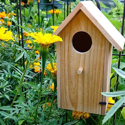 metal ring for bird box|Nest Box Accessories from Living with Birds.